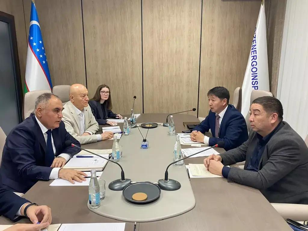 Кыргызстан и Узбекистан разобрали причины аварий в энергосистемах