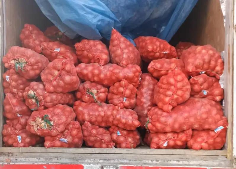 Казакстандан келген 25 тонна пияз өлкөгө киргизилген жок