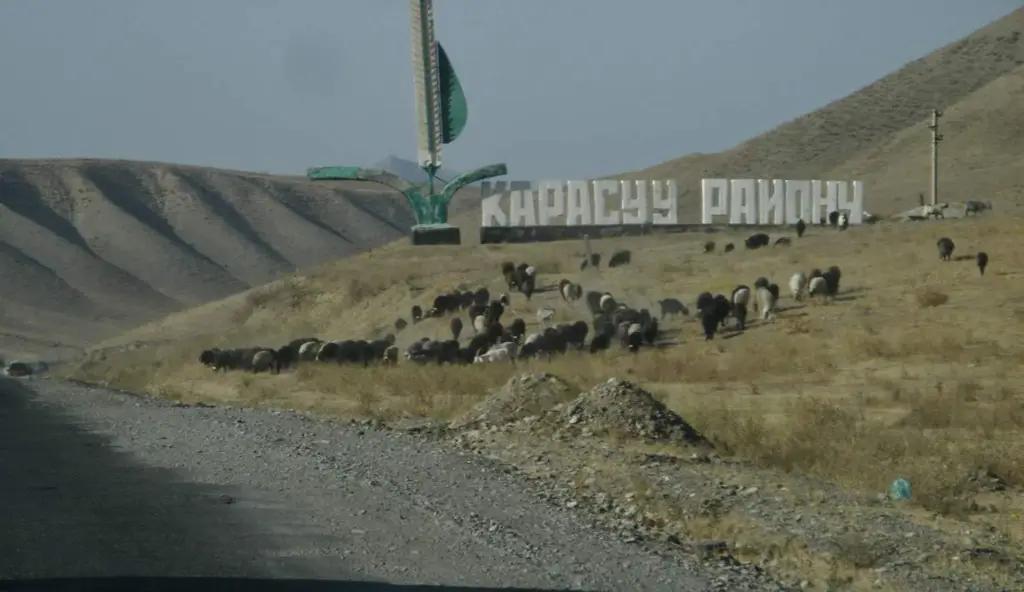 Кара-Сууда мыйзамсыз жер берүү фактысы аныкталды