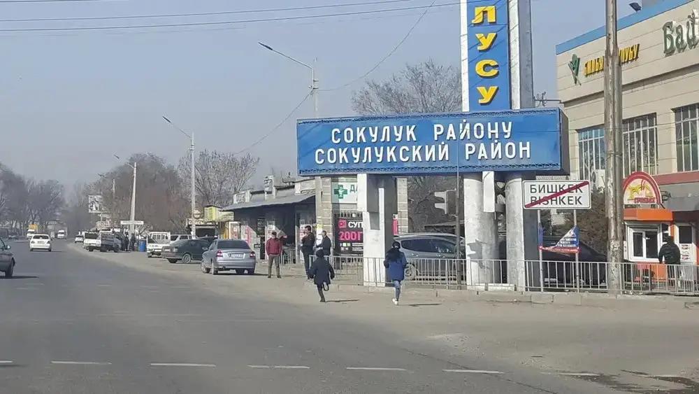 Сокулукта 45.8 млн сомдук жер мамлекетке кайтарылды