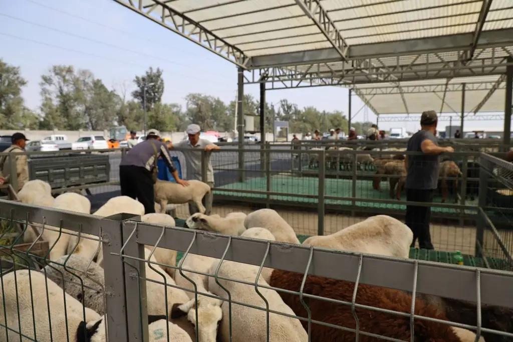 Мамлекет малчыларды дарынын 9 түрү менен гана акысыз камсыз кылууда