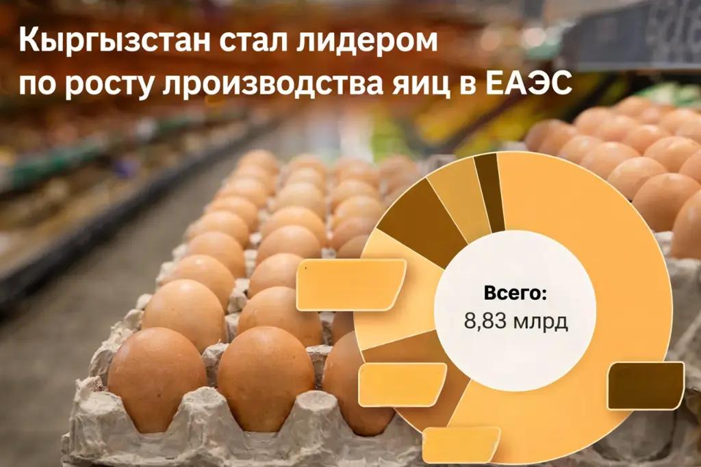 Кыргызстан произвел почти на 30% больше куриного яйца, чем год назад