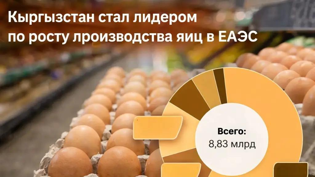 Кыргызстан произвел почти на 30% больше куриного яйца, чем год назад