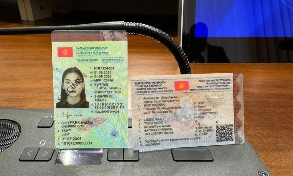 Жапаров: Жаңы үлгүдөгү айдоочулук күбөлүктөрдү бүт дүйнө жүзү тааныды