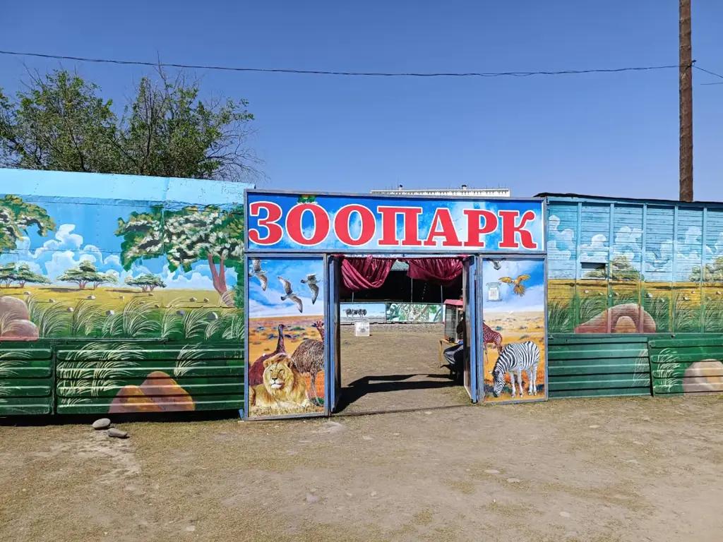 Токмок шаарында мыйзамсыз көчмө зоопарк аныкталды