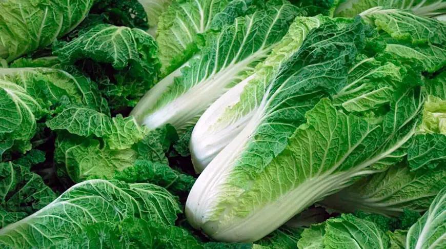 Фермеры Араванского района начали экспорт овощей нового урожая