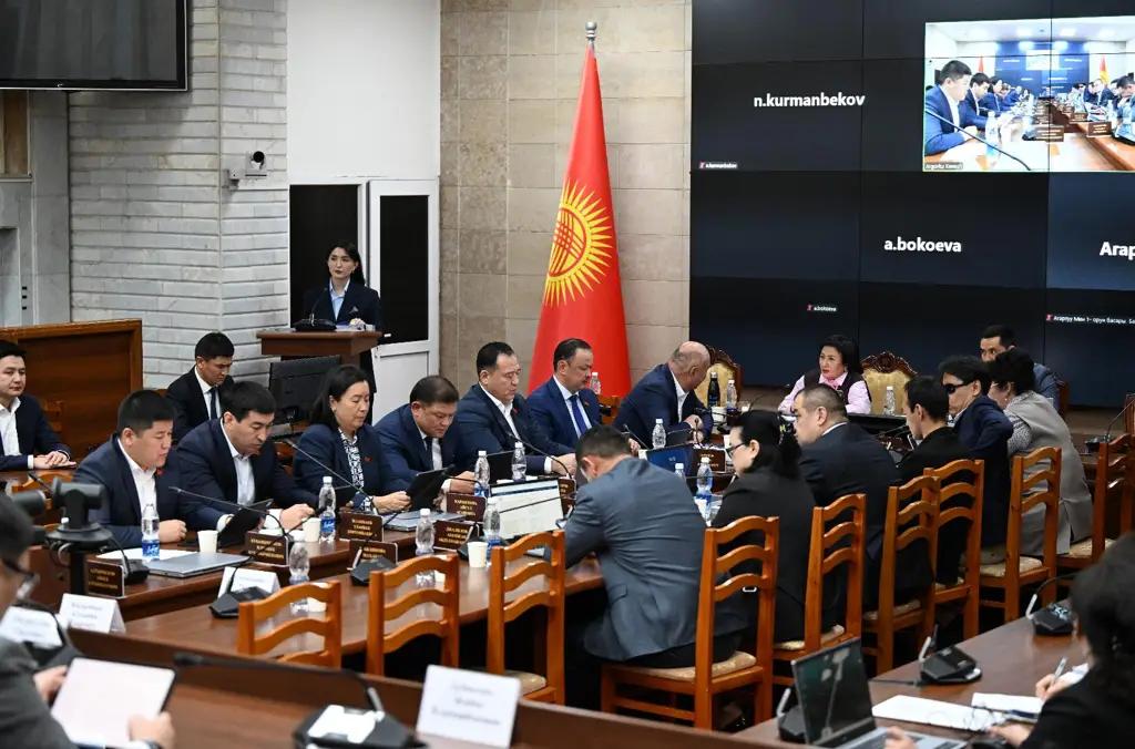 Комитет Жогорку Кенеша по бюджету одобрил поправки в закон о приватизации