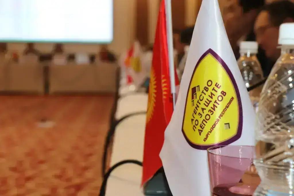 Жаңы банктар депозиттерди коргоо фондуна 30 млн сом которду