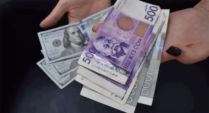 Кыргызстандын окуу жайларындагы эң кымбат контракт 7.5 миң долларды түзөт