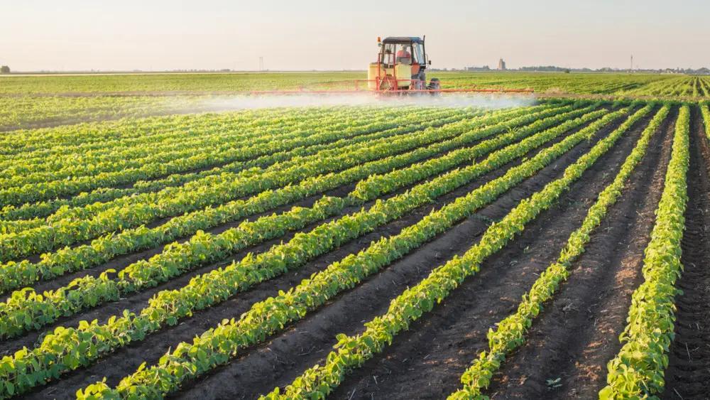 The agricultural sector grew by 2.8% in the first three months of 2026