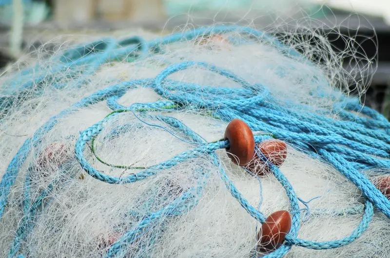 Кыргызстанга балык уулоочу торлорду мыйзамсыз ташып кирүүгө бөгөт коюлду