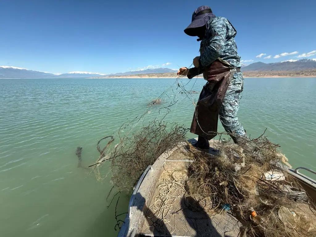 Токтогул суу сактагычынан 12 миң метр тор чыгарылды