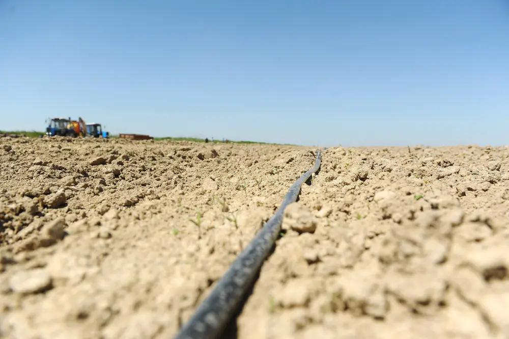 Кабмин убрал требование о компенсации потерь сельхозпроизводства по участку под кампус КРСУ