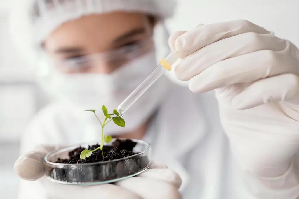 Five quarantine plant pests have been detected in Kyrgyzstan over the past four months