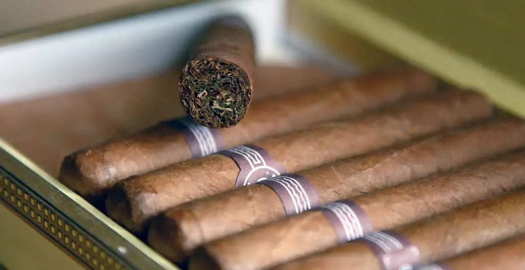 Kyrgyzstan has seen a decline in tobacco product exports, but prices have risen by 53%