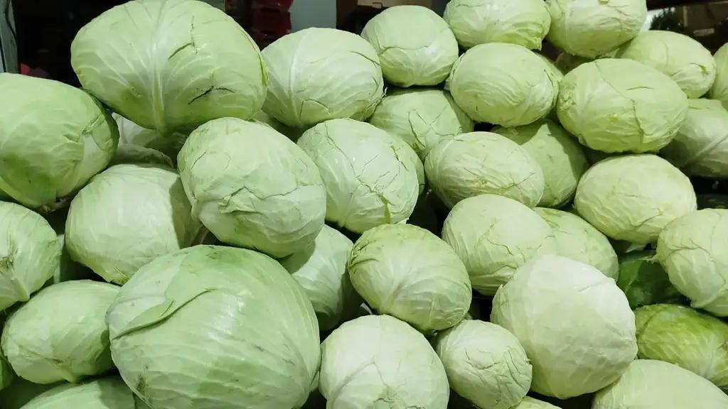 Kyrgyzstan has almost halved its cabbage exports — Russia is the biggest buyer
