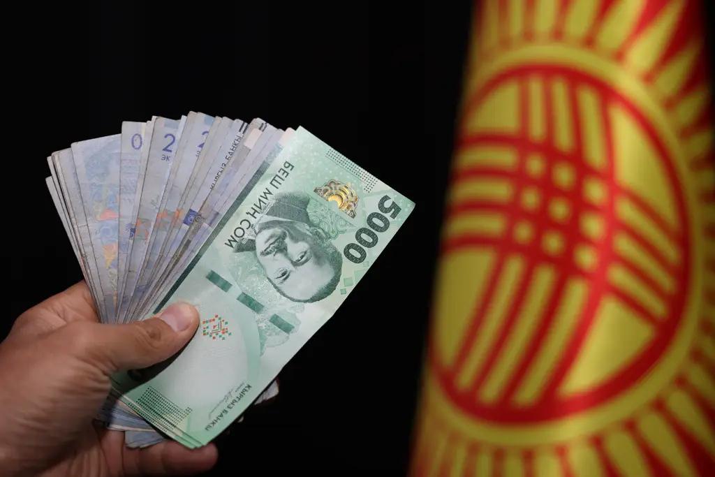 Каржы министрлиги 596.5 млн сом ички карыз алды