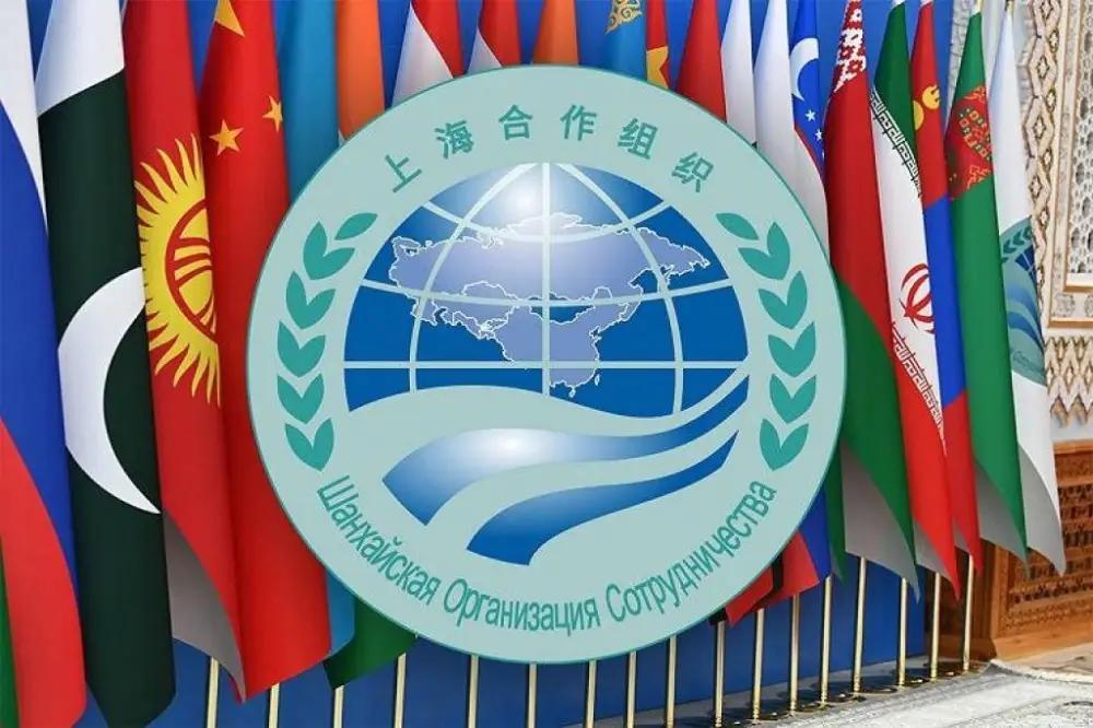 Страны ШОС формируют треть мировой экономики — в Минэкономразвития РФ призвали усиливать сотрудничество регионов