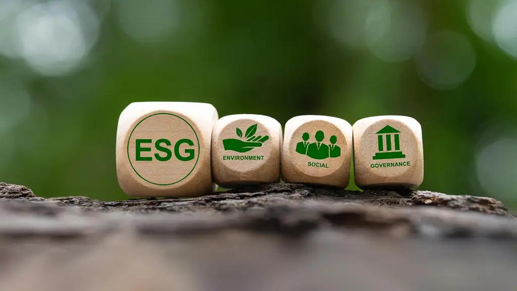 В Кыргызстане хотят поддерживать бизнес за внедрение ESG-принципов