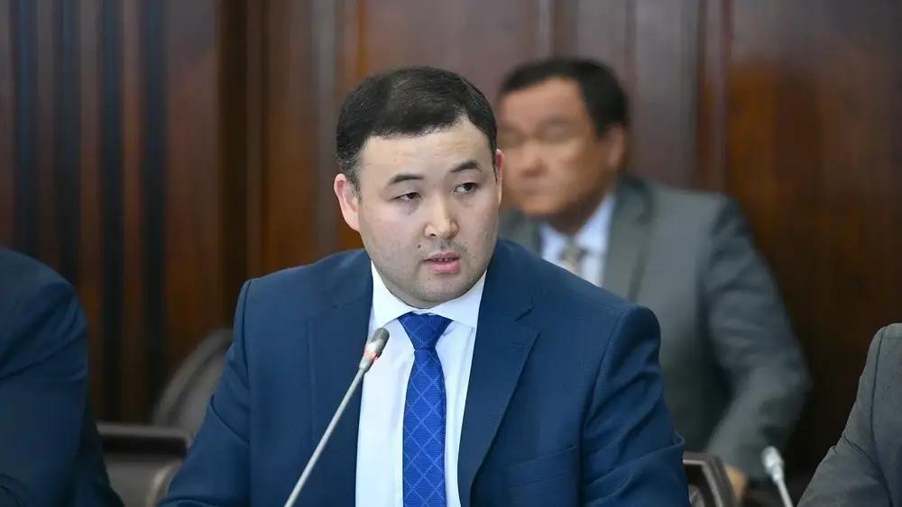В Кыргызстане предложили новую модель оценки малого бизнеса: выделили «четыре квадранта» предпринимателей