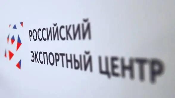 Кыргызстан и Российский экспортный центр договорились расширять сотрудничество в транспорте и медицине