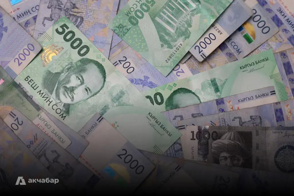 Мамлекет бир жылдык казына облигацияларын жайгаштырып, 300 млн сом карыз алат
