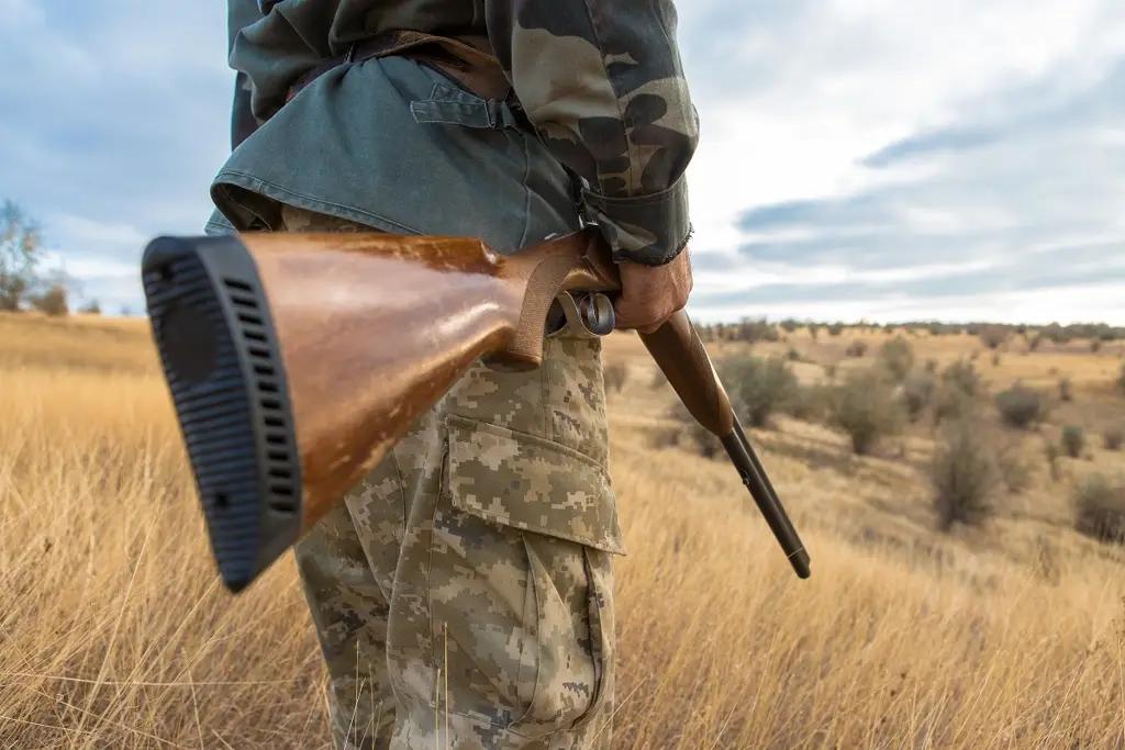 A poacher from the Chui Region has paid 212,000 KGS for illegal hunting