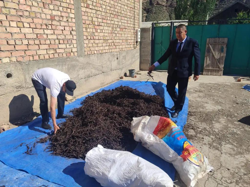 Over 54 kilograms of rare endika were seized from a resident of Naryn