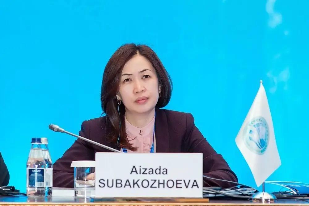 A Chinese national and former deputy secretary-general of the SCO has been appointed deputy head of the National Agency for Virtual Assets