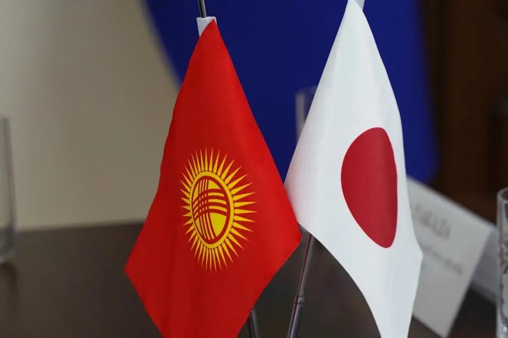 Кыргызстан и Япония обсудили сотрудничество в сфере недропользования