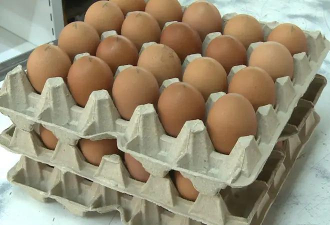 Производство яиц в Кыргызстане выросло почти на четверть с начала года