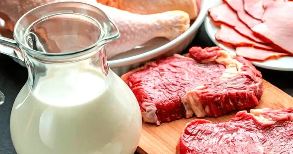 В Кыргызстане выросло производство мяса и молока: лидером по мясу остается Чуйская область