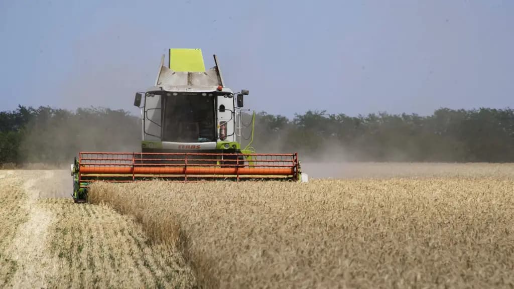 Wheat harvest in Kyrgyzstan down by 26%