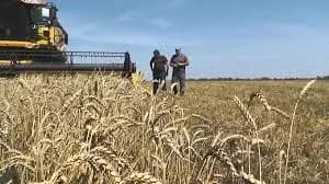 There are 757 agricultural co-operatives operating in Kyrgyzstan, with almost a third of them in the Jalal-Abad region