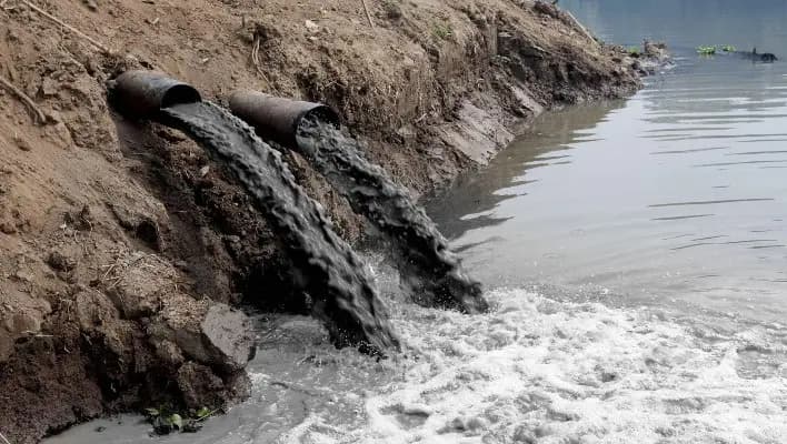 Illegal rubbish dumps and sewage discharges have been uncovered on the Kok-Zhayyk pasture — the offenders have been fined 62,000 soms