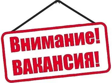 В Кыргызстане 8.4 тысячи свободных вакансий