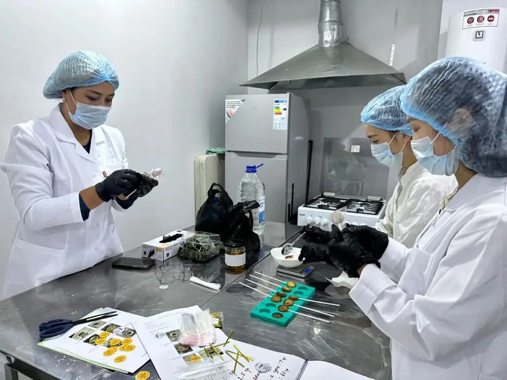 Entrepreneurs in southern Kyrgyzstan are being taught how to make talkan bars and natural syrups