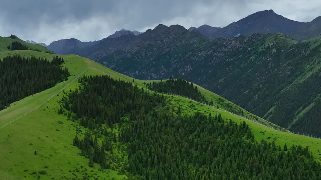 The red deer breeding centre at the Naryn Nature Reserve has been expanded
