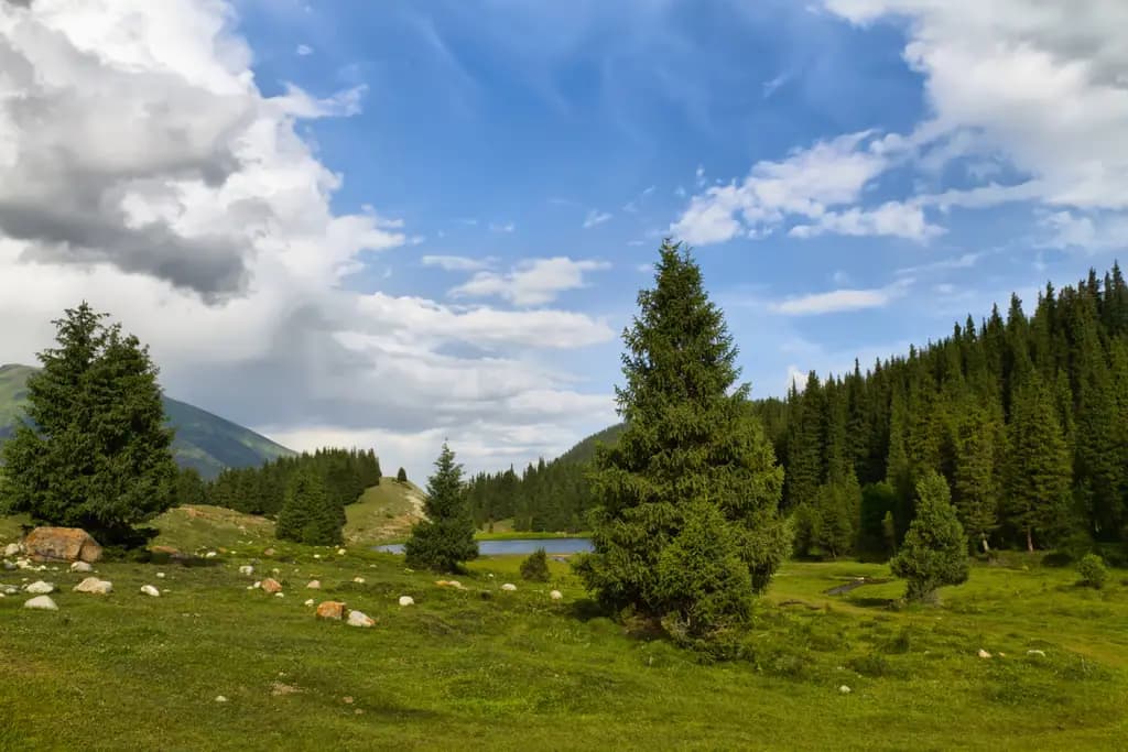 В ущелье Ак-Суу может появиться современный горный курорт