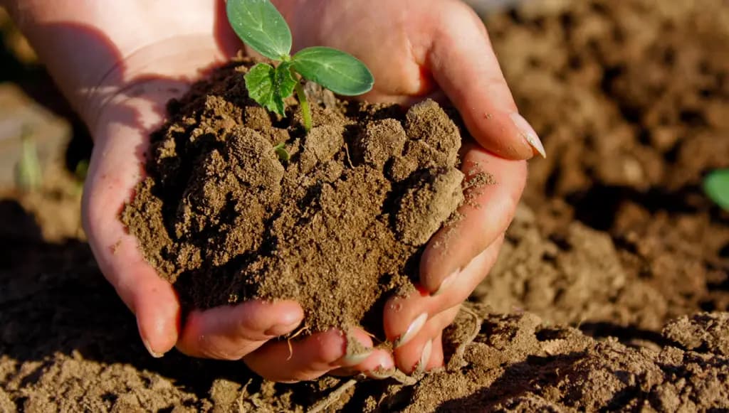 In the Alamudun district, 17 hectares of agricultural land have been allocated for industrial developments