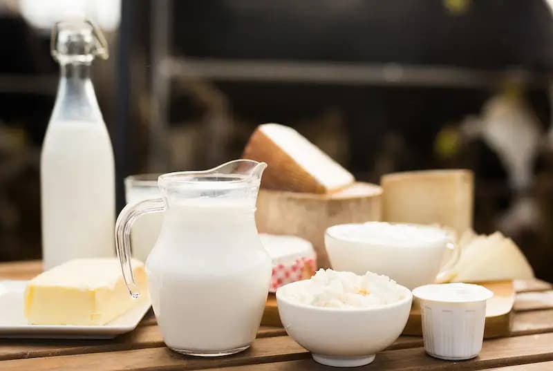 Кыргызстан за полгода экспортировал почти 20 тысяч тонн молочной продукции