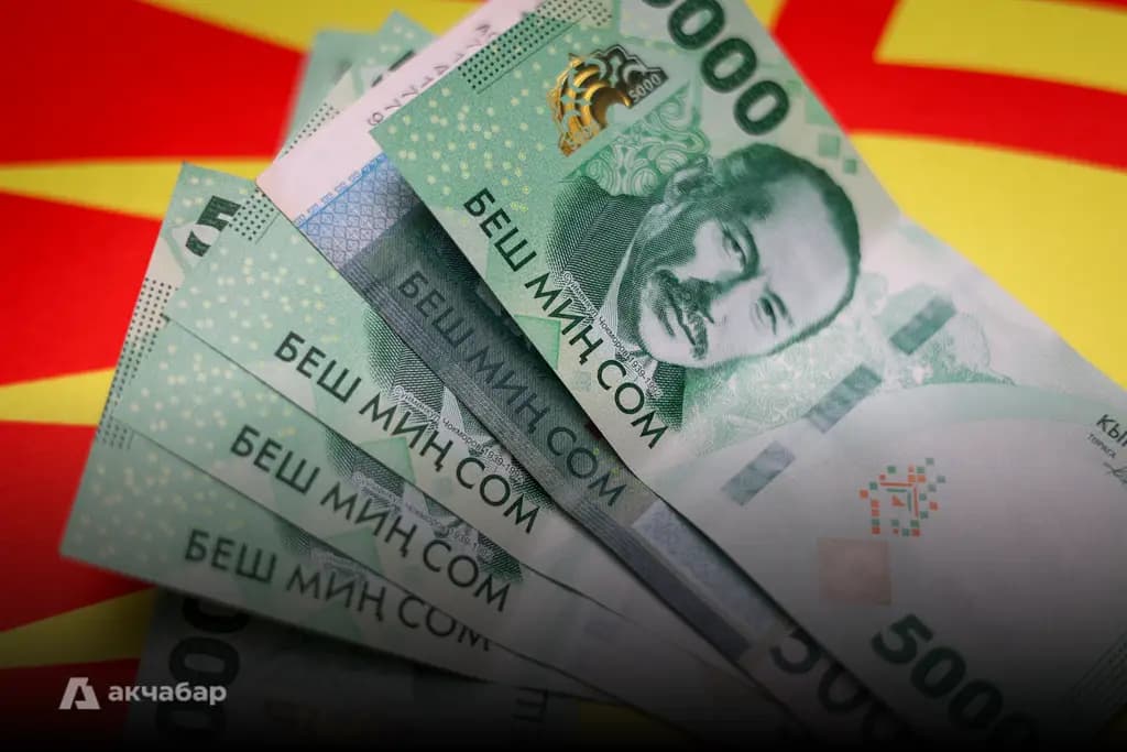 Kyrgyzstan allocated 48.5 billion KGS to its national debt — more than a third of this went on interest payments