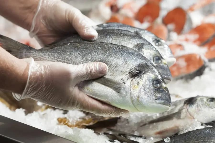 За 7 месяцев 2026 года Кыргызстан экспортировал 746.7 тонны рыбной продукции
