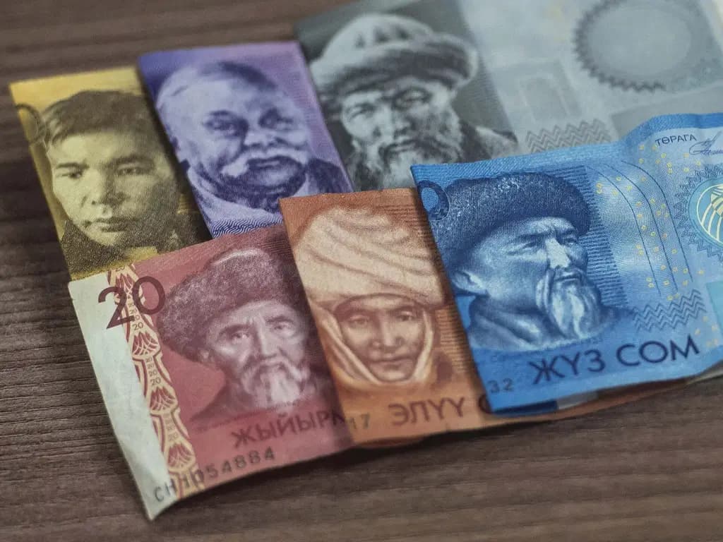 Кыргызстанда бүгүнкү күнгө карата 233 миң жаран Топтомо фонддогу акчасын алган