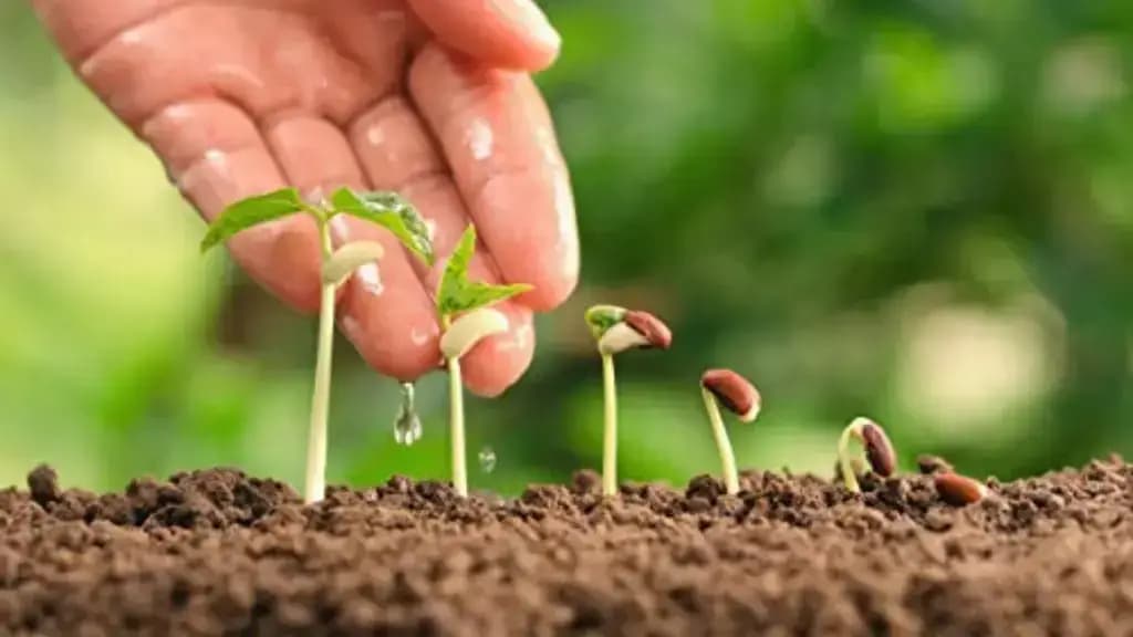 In Kyrgyzstan, the area of land under organic cultivation has exceeded 101,000 hectares