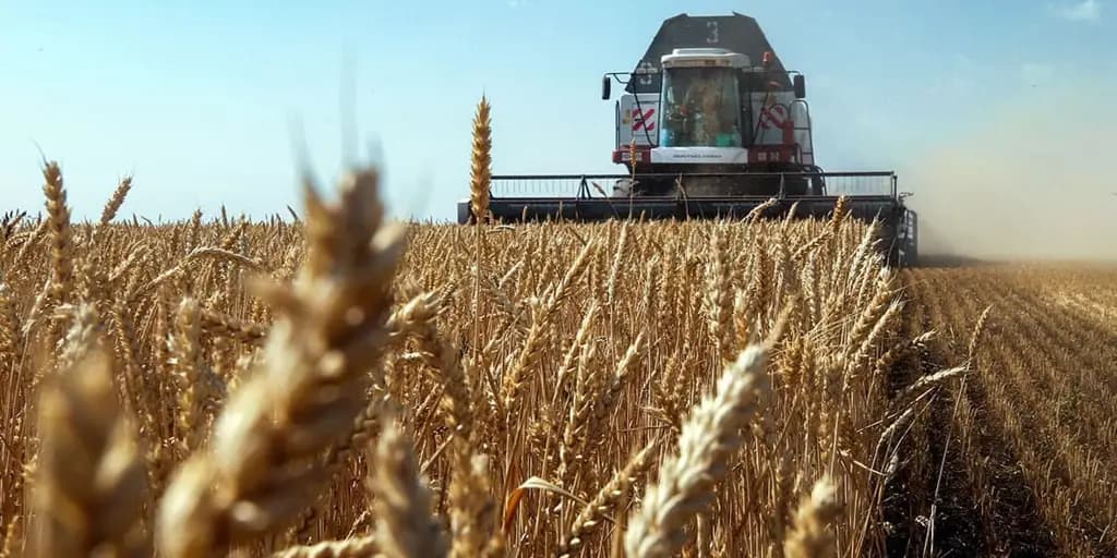 В Кыргызстане убрали более половины запланированных зерновых площадей
