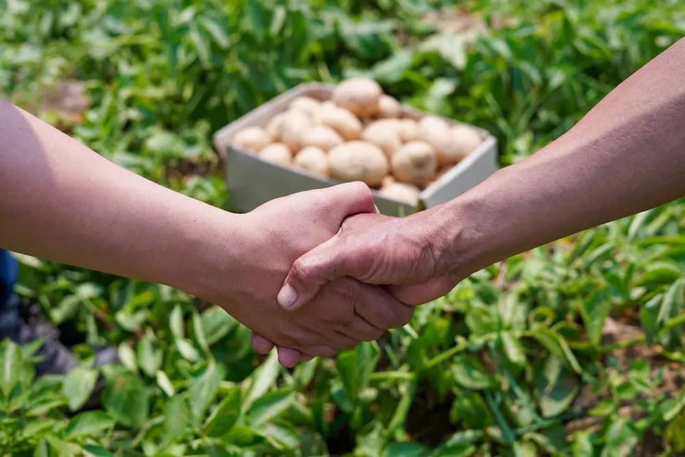 65 agricultural cooperatives have been established in Kyrgyzstan
