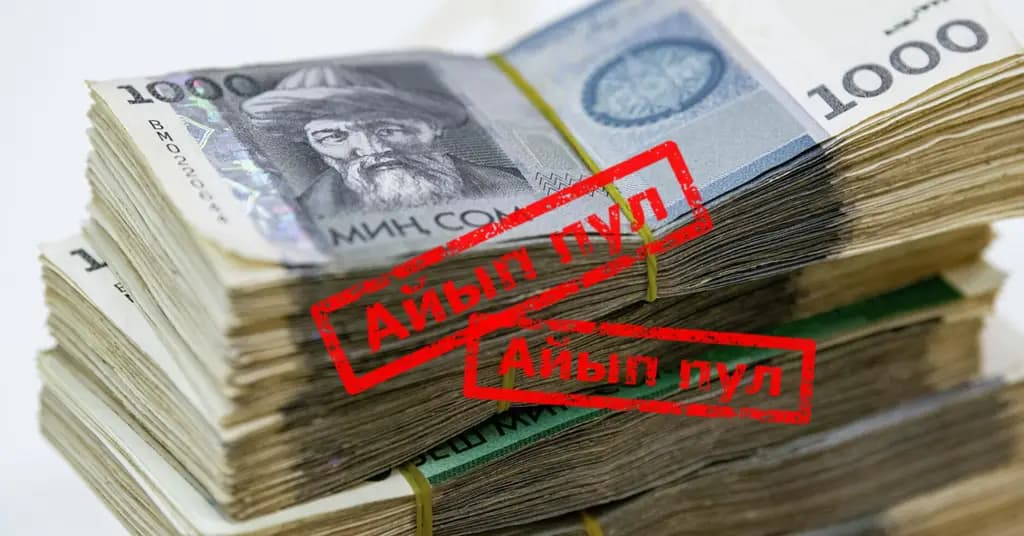 Бишкекте төлөм операторуна 220 миң сом айып салынды