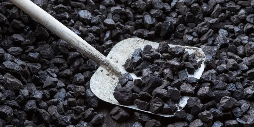 В Кара-Суу закупят уголь для бюджетных учреждений на 9.55 млн сомов
