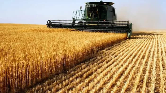 The area sown with cereals in Kyrgyzstan increased by 1.8 per cent